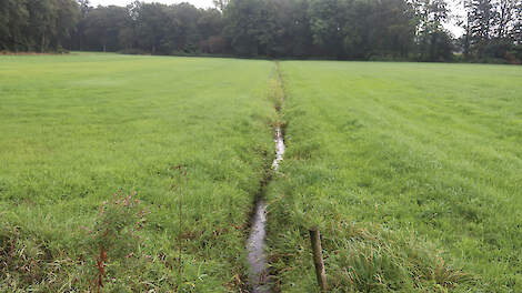 De nitraatconcentratie is onder sommige percelen zo laag, dat stoppen met bemesten niets oplevert voor beekdalnatuur.
