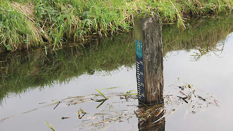 Veel boeren zullen de komende jaren meer waterschapsbelasting moeten betalen. Dit heeft onder meer te maken met een ander belastingstelsel.