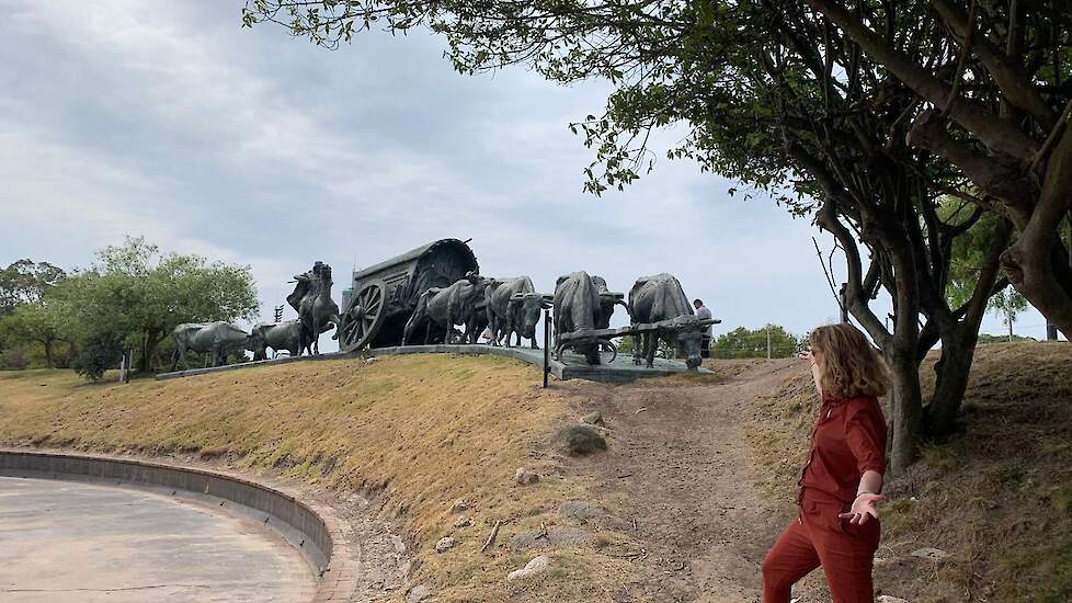 Een beeld in Montevideo van ossen en een wagen. Een klassiek symbool van de agrarische wortels van Uruguay.