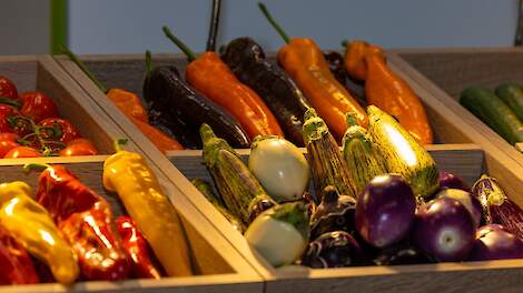 Beeld ter illustratie