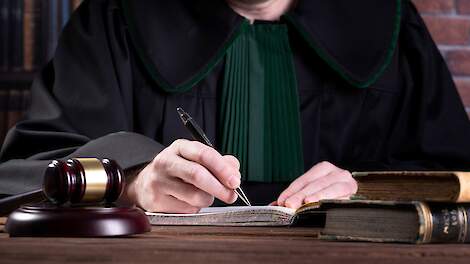 Beeld ter illustratie.