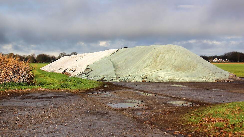 Beeld ter illustratie.