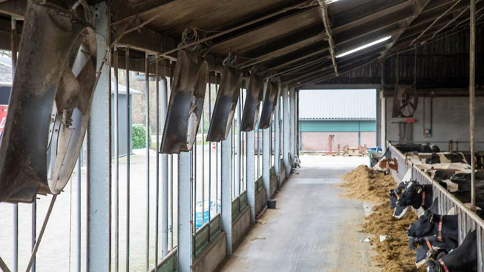 Melkveebedrijven met een 'buitenklimaatstal', ook wel 'frisse lucht-stal', kunnen  in aanmerking voor certificering volgens de criteria van Haltungsform 3.