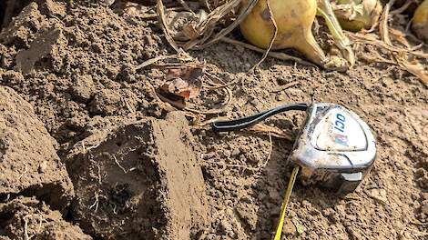 Profielkuil onderzoek beworteling ploegvoor uien