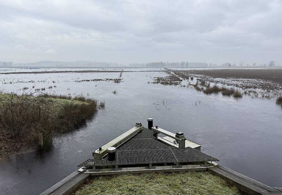 De Ruiner Aa afgelopen december.