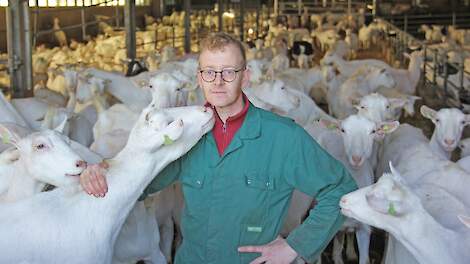 &bdquo;Het is jammer als gemeenten geitenhouders nu onder druk zetten om te stoppen, als de oplossing zo dichtbij is&rdquo;, zegt Jos Tolboom.
