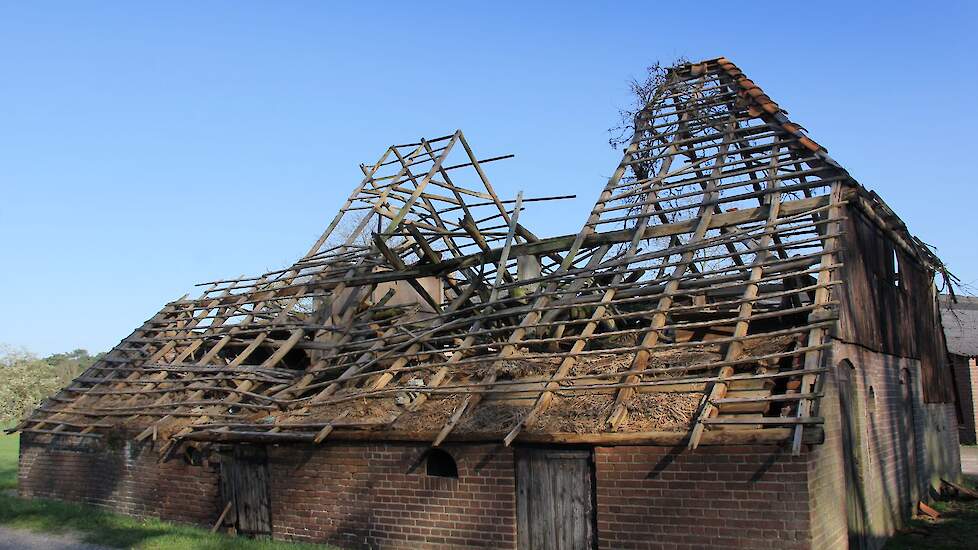 Beeld ter illustratie.