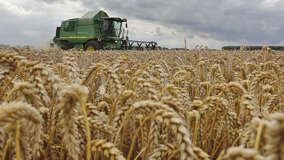 Beeld ter illustratie.