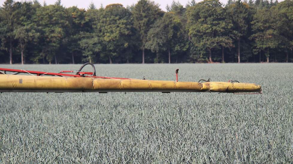 Beeld ter illustratie.