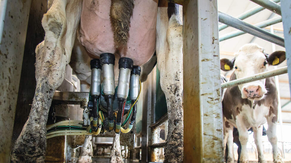 Afwijkingen in melkfrequentie en melkstroom geven aanwijzingen voor kreupelheid.