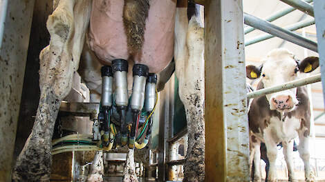 Afwijkingen in melkfrequentie en melkstroom geven aanwijzingen voor kreupelheid.