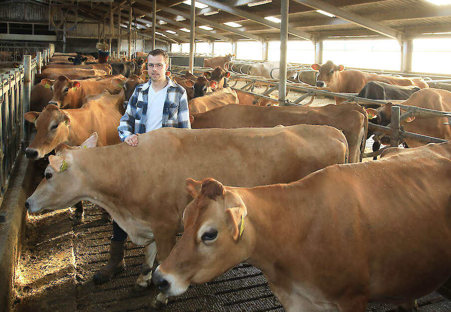 Mark Beers in de stal