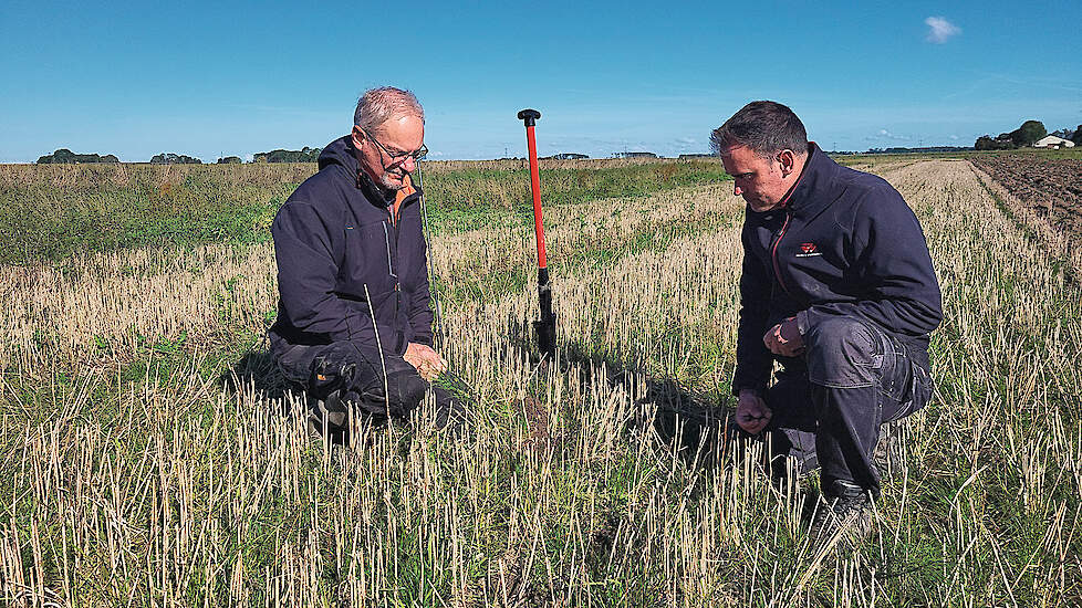 Dietmar N&auml;ser en Gert Noordhoff bekijken de onderzaai op een geoogst perceel zomertarwe.