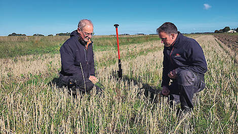 Dietmar N&auml;ser en Gert Noordhoff bekijken de onderzaai op een geoogst perceel zomertarwe.