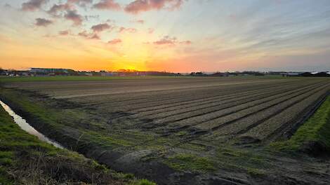 Beeld ter illustratie