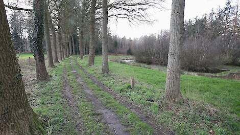 Landgoederen Brummen en Voorstonden