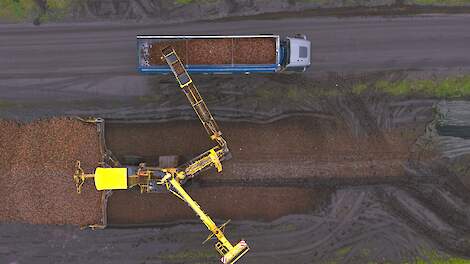 Bietenmuis suikerbieten laden loonbedrijf Ellen Klazienaveen