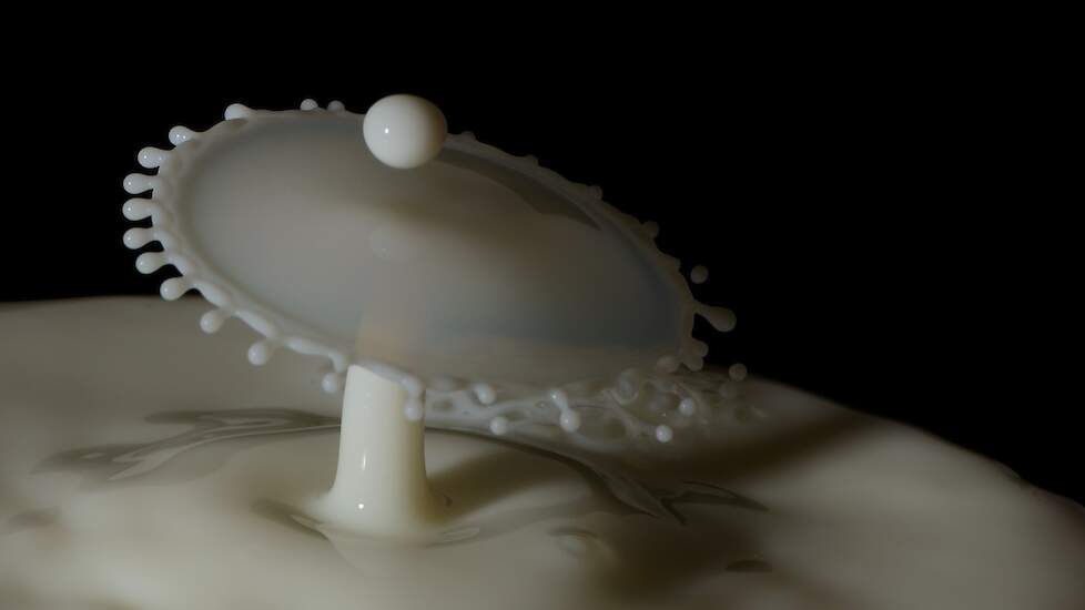 Een melkdruppel spat uiteen.
