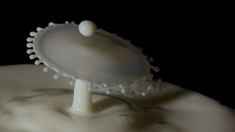 Volgens voorspellingen van de EU zal de melkprijs ook weer terugveren.