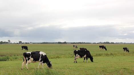 Beeld ter illustratie.