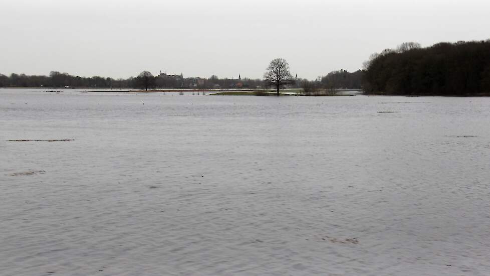 De Vecht bij hoogwater