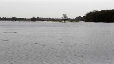 De Vecht bij hoogwater