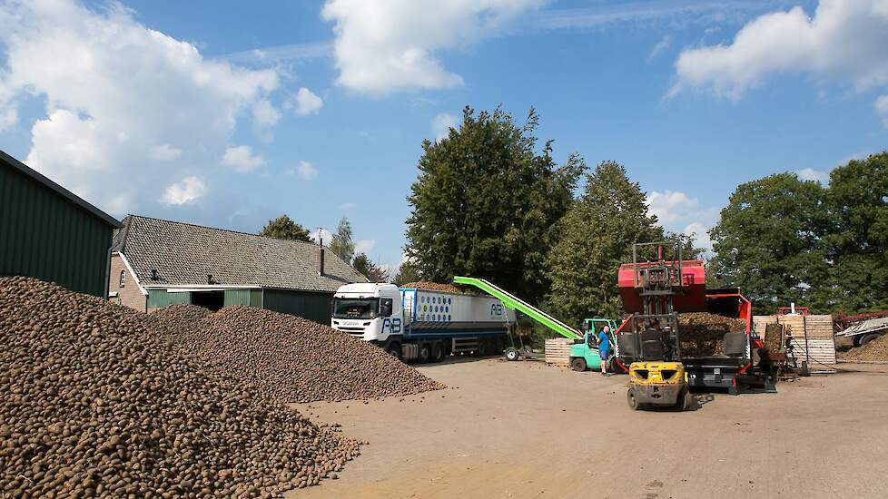 Aardappelen worden ingeladen