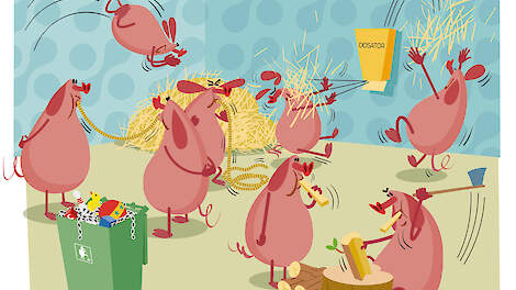 Eetbaar en wroetbaar dat is het devies van hokverrijking. De plastic speeltjes en kettingen tellen niet meer mee voor de wettelijke criteria.