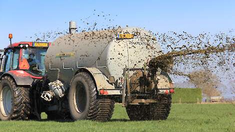 Een giertank rijdt rundveedrijfmest bovengronds uit.