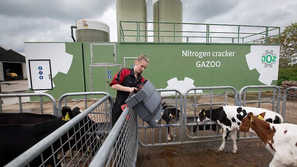 Melkveehouder voert kalfjes, op de achtergrond stikstofkraker