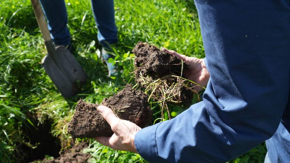 In de bodem bouwt zich koolstof op door plantengroei, maar er zal ook altijd koolstof verdwijnen door bodemademhaling.