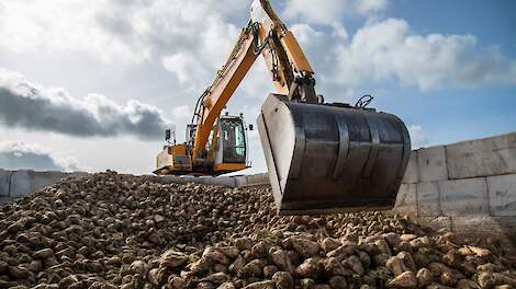 Suikerbieten laden in De Cocksdorp bij Nico Zeegers