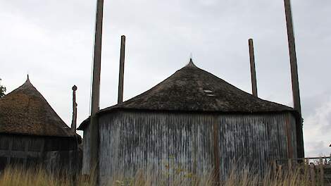 Beeld ter illustratie.