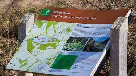 Natura 2000-gebied Willinks Weust bij Winterswijk.