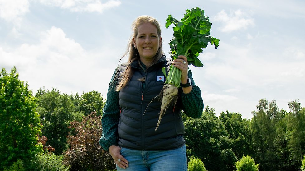 Lisette Staal is Key Accountmanager Sugarbeet bij KWS Benelux.