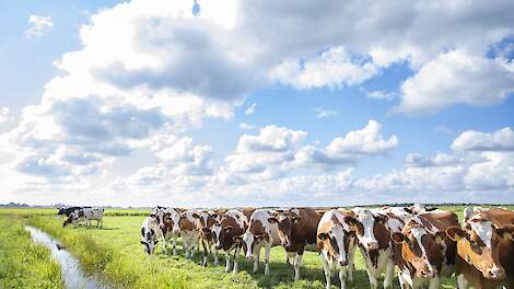 Beeld ter illustratie.