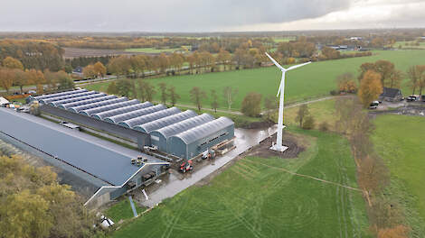 &bdquo;In onze kippenstallen is alles geautomatiseerd: van voer en water tot verlichting en klimaat.&rdquo;