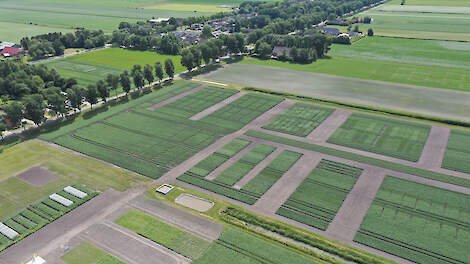 de proefboerderij in Valthermond