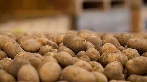 Aardappelen Hulshoff Groenlo
