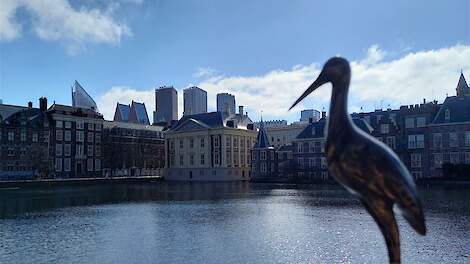 Beeld van de Hofvijver in Den Haag ter illustratie.