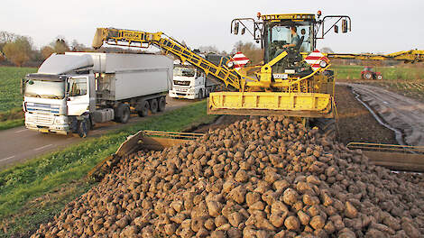 In de loop van de bietencampagne werd al duidelijk dat 2025 zou afstevenen op recordopbrengsten.