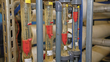 De producenten van mineralenconcentraat blijven tijdens de overgangsperiode mestcode 120 gebruiken.