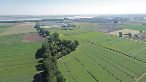 De omgeving van Sint-Annaland vanuit de lucht in de zomer.