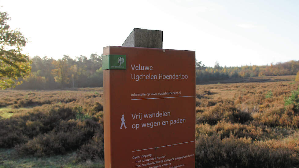 De stikstofstroken vallen in de zone van 500 meter vanaf kwetsbare natuur in de Veluwe of Landgoederen Brummen.
