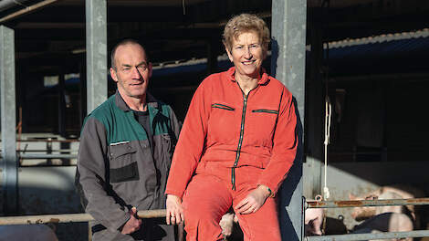 Bas en zijn vrouw Els Kruisselbrink bij hun biologische vleesvarkens
