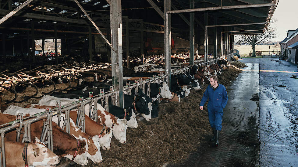 Melkveehouder Willem van der Linden in de koeienstal