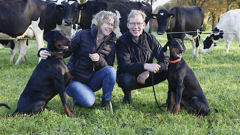 De ruwvoeropname op biologische bedrijven ligt vaak tussen 13 en 18 kilogram droge stof per koe per dag, bij gangbare rantsoenen ligt dit gemiddeld lager.
