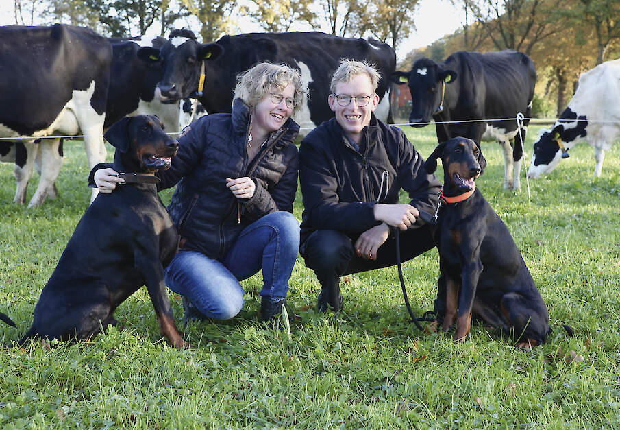 De ruwvoeropname op biologische bedrijven ligt vaak tussen 13 en 18 kilogram droge stof per koe per dag, bij gangbare rantsoenen ligt dit gemiddeld lager.
