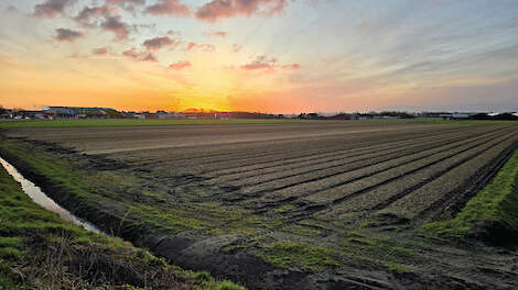 Maak gebruik van je laatste kans en meld voor 15 februari een biologische boer of tuinder met slimme innovaties of een inspirerende aanpak aan.