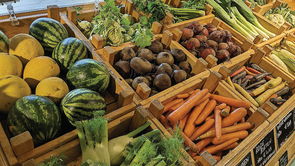 Met een startkapitaal van drie miljoen euro als basis, wordt het IFDV de komende jaren verder uitgebouwd.